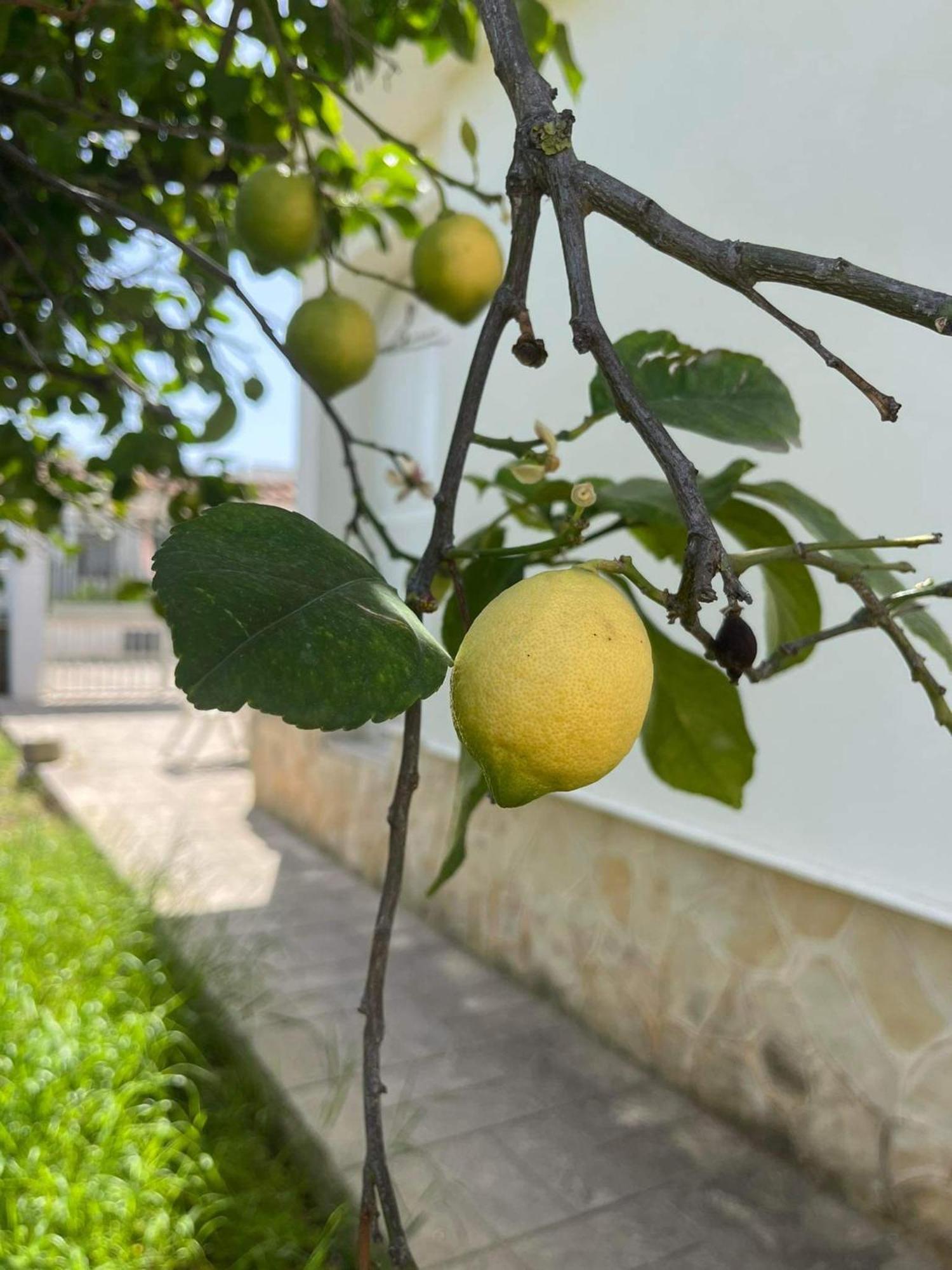 Il Cottage Di Wanda Leporano Ngoại thất bức ảnh